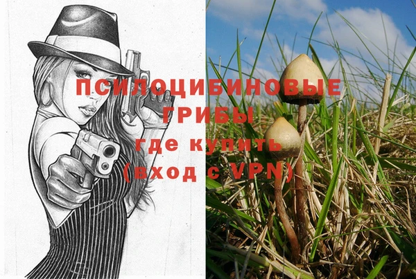 герыч Нея