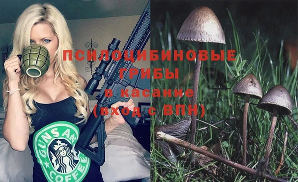 PSILOCYBIN Нефтекумск