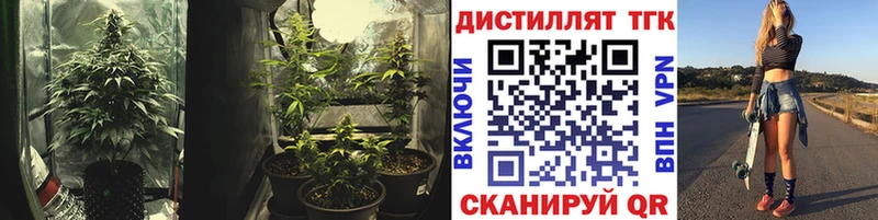 ТГК вейп  Баймак 