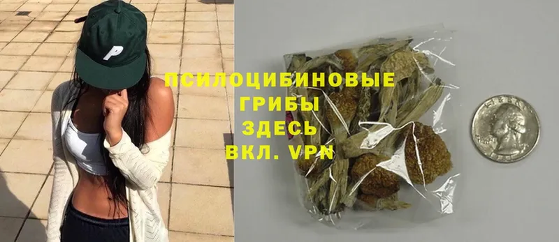 Галлюциногенные грибы Magic Shrooms  Баймак 