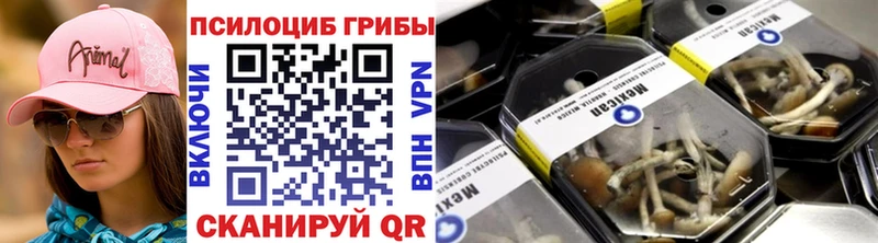блэк спрут ССЫЛКА  Баймак  Псилоцибиновые грибы Psilocybine cubensis 
